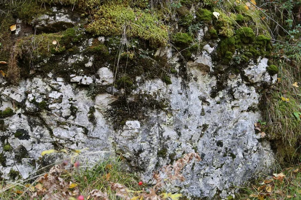 Textura Rocha Montanha Penhasco Superfície Rocha Parede Caverna Natural — Fotografia de Stock