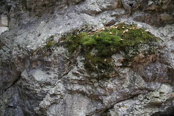 Szikla Szerkezetét Szikla Felszínének Hegyi Sziklája Természetes Barlangfal — Stock Fotó