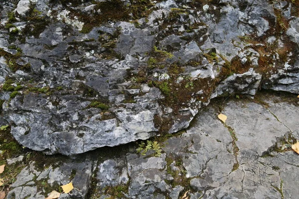 Consistenza Della Roccia Montagna Scogliera Superficie Rocciosa Parete Naturale Grotta — Foto Stock