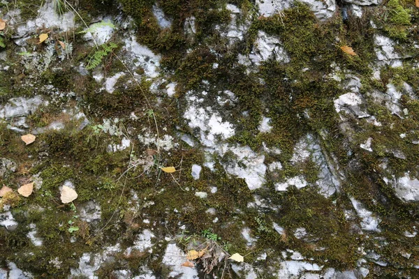 Textura Rocha Montanha Penhasco Superfície Rocha Parede Caverna Natural — Fotografia de Stock