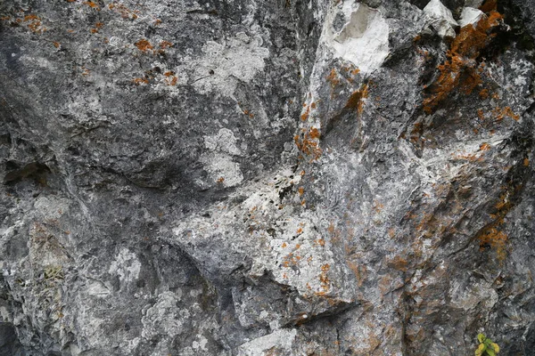 Υφή Του Βράχου Βουνό Γκρεμό Της Επιφάνειας Βράχου Φυσικό Τείχος — Φωτογραφία Αρχείου