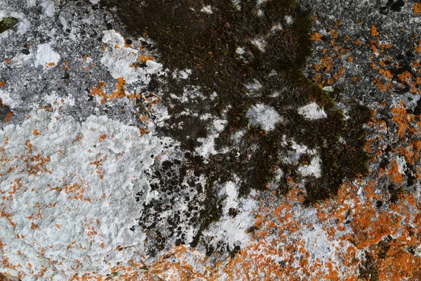 Textuur Van Rots Bergklif Van Rotsoppervlak Natuurlijke Grotwand — Stockfoto