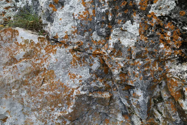 Struktura Skały Górski Klif Powierzchni Skalnej Naturalna Ściana Jaskini — Zdjęcie stockowe