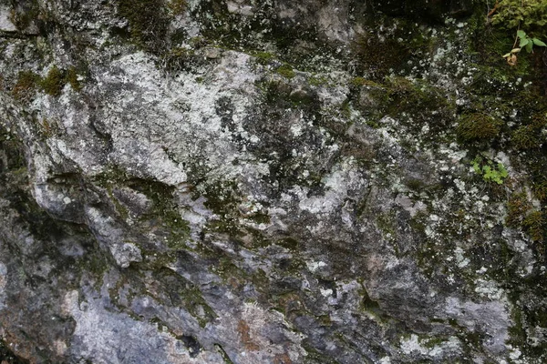 Textura Rocha Montanha Penhasco Superfície Rocha Parede Caverna Natural — Fotografia de Stock