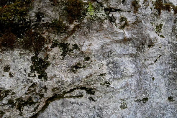 Textura Rocha Montanha Penhasco Superfície Rocha Parede Caverna Natural — Fotografia de Stock