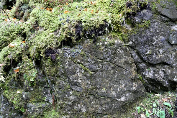 Die Beschaffenheit Des Gesteins Gebirgsfelsen Der Felsoberfläche Natürliche Höhlenwand — Stockfoto