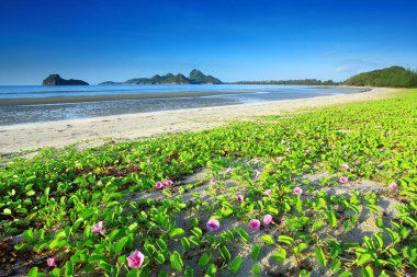Prachuap Khiri Khan Eyaleti Tayland Ao Manao Beach