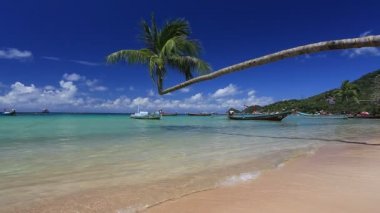 Tayland 'ın Surat Thani eyaletindeki Koh Tao adalarındaki Sairee Sahili' nin güzel manzarası. 