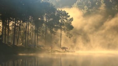 Pang Ung Kampı ve Huai Makhuea Som Reservoir 'daki sabah manzarası Tayland' ın Mae Hong Son bölgesinde popüler bir seyahat merkezidir. 