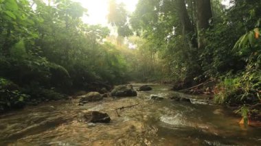 Phetchaburi Eyaleti, Tayland 'daki Kaeng Krachan Milli Parkı' nın bütünlüğü. 