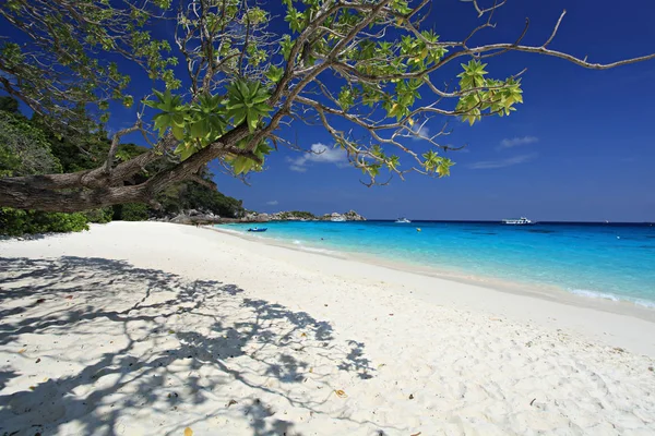 Тропический Остров Пляжем Голубым Небом — стоковое фото