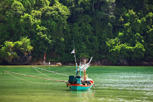 Bateau Sur Rivière Dans Parc — Photo