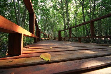 Mu Ko Chumphon Ulusal Parkı Tayland Doğa Yolları