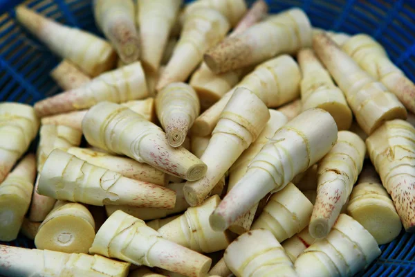 Bamboo Shoots Bamboo Sprouts Background — Stock Photo, Image