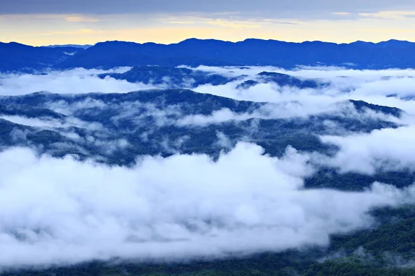 Cenário Manhã Uma Névoa Refrescante Montanha Khao Kho Phetchabun Tailândia — Fotografia de Stock