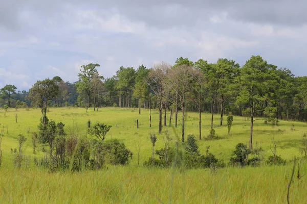 Thung Salaeng Luang National Park Phitsanulok Phetchabun Províncias Tailândia — Fotografia de Stock