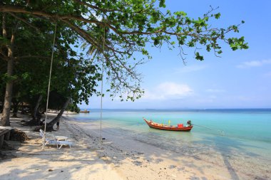 Koh Tao adasındaki tekne, Surat Thani Eyaleti, Tayland 