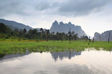 Dağ ve sis Khao sok Suratthani, Tayland at