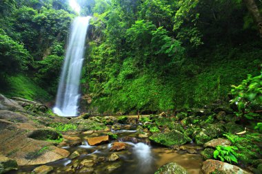 Tai Romyen Ulusal Parkı 'ndaki Mueang Thuat Şelalesinin güzelliği Thani Eyaleti, Tayland