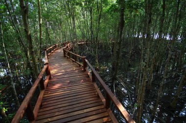 Mu Ko Chumphon Ulusal Parkı Tayland Doğa Yolu