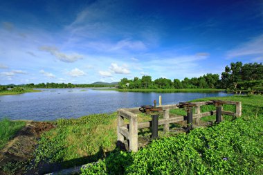 Nong Yai Area Development Royal Project is a royal project initiated by King Rama the IX to solve the flooding problem at the Khlong Hua Wang-Phanang Tak, in Chumphon, Thailand clipart