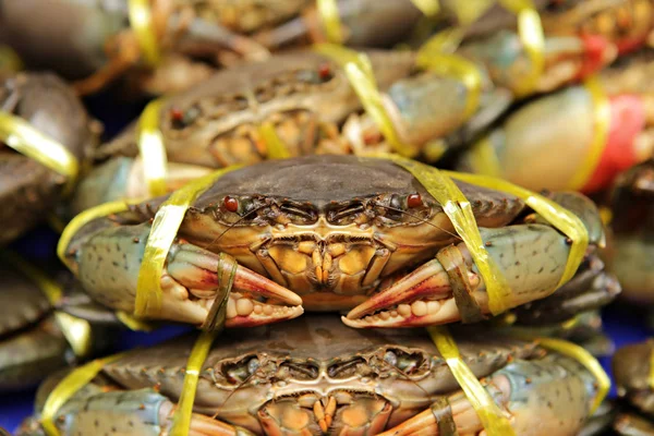 Serrated Mud Crab Scylla Serrata Tied Ready Sale Market Thailand — Stock Photo, Image