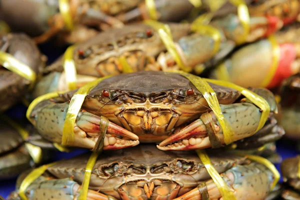 Tırtıklı çamur yengeci (Scylla serrata) Tayland pazarında satılmaya hazır ve nazır. 