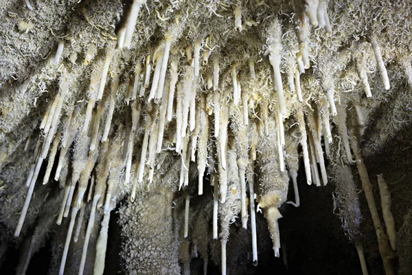 Belle Nature Grotte Khao Khanap Nam Krabi Thaïlande — Photo