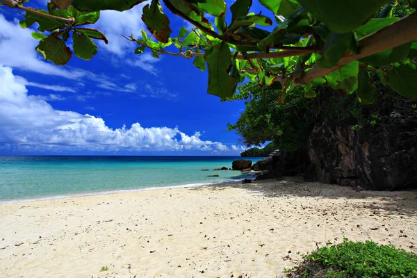 Ilha Koh Tao Província Surat Thani Tailândia — Fotografia de Stock