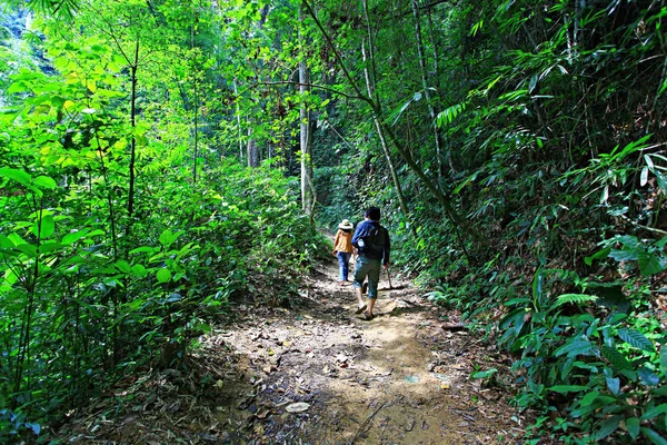 Rratchaprapa Barajı, Khao Sok Ulusal Parkı, Surat thani, Tayland 'daki Guilin' in Tayland doğal yolları.