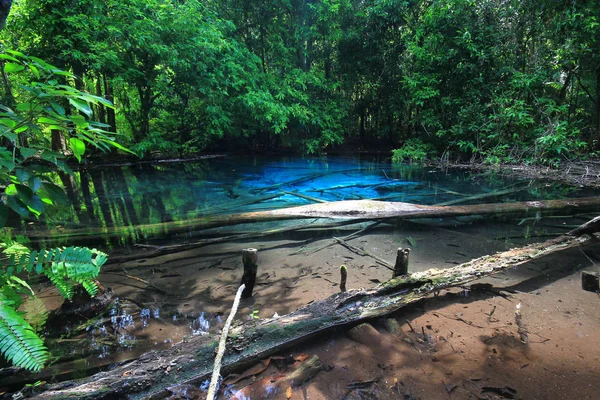 Изумрудный Бассейн Чудо Краби Таиланд — стоковое фото
