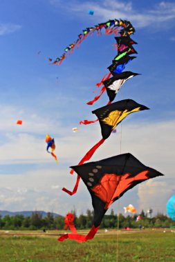Cha-Am - 10 Mart: 13 Tayland Uluslararası Uçurtma Festivali 10 Mart 2012 'de Naresuan Camp, Cha-am, Phetchaburi Eyaleti Tayland. 