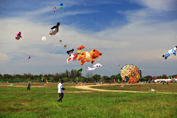 Cha Března Thajský Mezinárodní Festival Draků Března 2012 Naresuan Camp — Stock fotografie