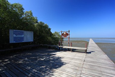Petchaburi Eyaleti Kraliyet Girişimleri kapsamında Leam Phak Bia Çevre Çalışmaları, Araştırma ve Geliştirme