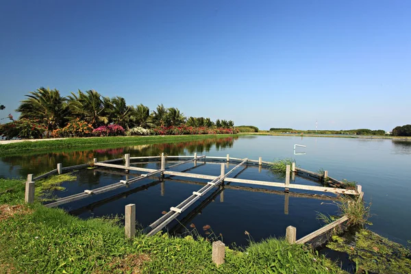 Public Attractions Leam Phak Bia Environmental Study Research Development Project — Stock Photo, Image