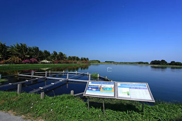 Atracciones Públicas Proyecto Leam Phak Bia Investigación Desarrollo Ambiental Bajo — Foto de Stock