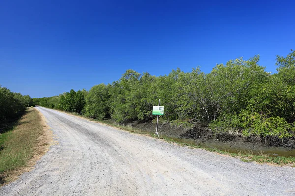 Paisagem Rural Com Estrada Céu Azul — Fotografia de Stock