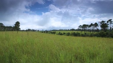 Thung Nang Phaya, Thung Salaeng Luang Milli Parkı, Tayland 'ın Phitsanulok Eyaletleri' nde bir başka popüler yerdir. 