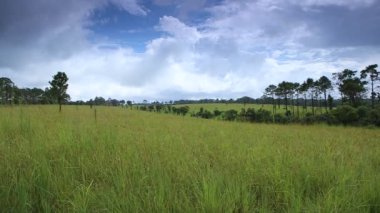 Bu alan Thung Nang Phaya 'nın bir başka popüler yeri Thung Salaeng Luang Ulusal Parkı, Phitsanulok Eyaletleri, Tayland