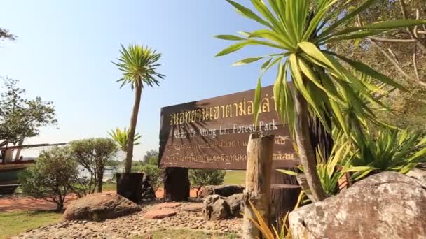 Drewniany Szyld Tajskim Znakiem Otoczony Palmami — Wideo stockowe