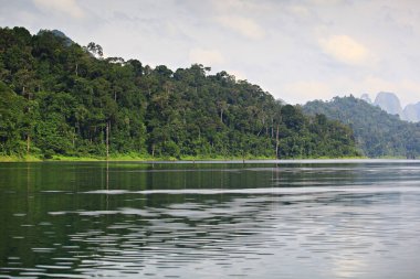 Doğanın manzarası, kireçtaşı dağları, Tayland 'ın Thani Eyaleti' ndeki Ratchaprapha Barajı 'nın (Chiao Lan Barajı) su akıntısı. 