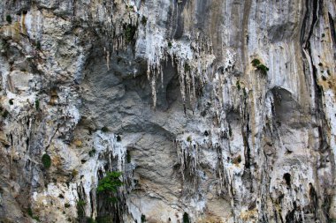 Khao Sok Ulusal Parkı 'nın manzarası, Tayland' ın Surat Thani Eyaleti 'ndeki Ratchaprapha Barajı' nda popüler bir yer. 
