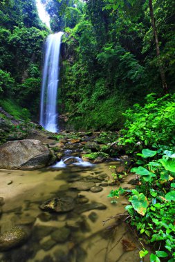 Dadfa Şelalesi 'ndeki güzel dağlar ve yeşil orman Tai Rom Yen Ulusal Parkı, Surat Thani Eyaleti, Tayland 