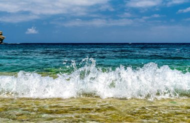 Arkaplanda bulanık beyaz dalgalar, deniz ve gökyüzü var.
