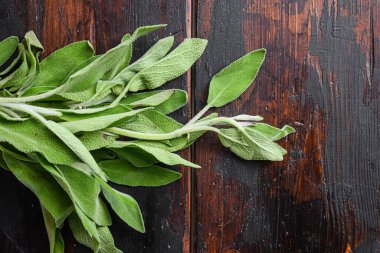 Esmer, eski ahşap masa manzaralı bilge