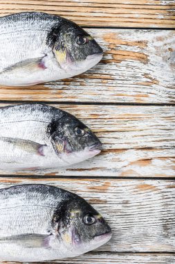 Dorado 'nun çiğ başlığı ya da Gilt baş balığı beyaz ahşap masa üstü manzaralı ve metin için yeri olan