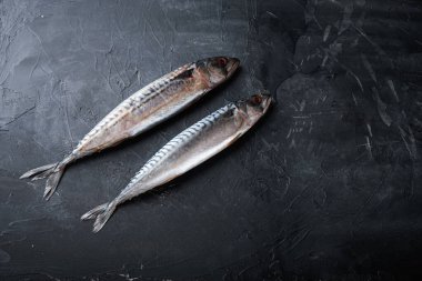 Siyah desenli arka planda iki taze uskumru ve metin için boşluk.