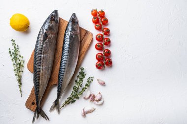 Beyaz arkaplanda otlu çiğ uskumru, metin için boş alan var..