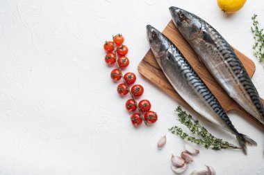 Beyaz desenli arka plan içerikli tüm uskumru, metin için boşluk ile düz uzanır.