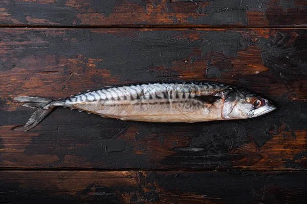 Tahta masadaki taze çiğ balık, fotokopi alanı olan üst manzara..
